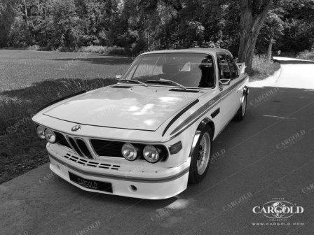 bmw 30 csl 4355011